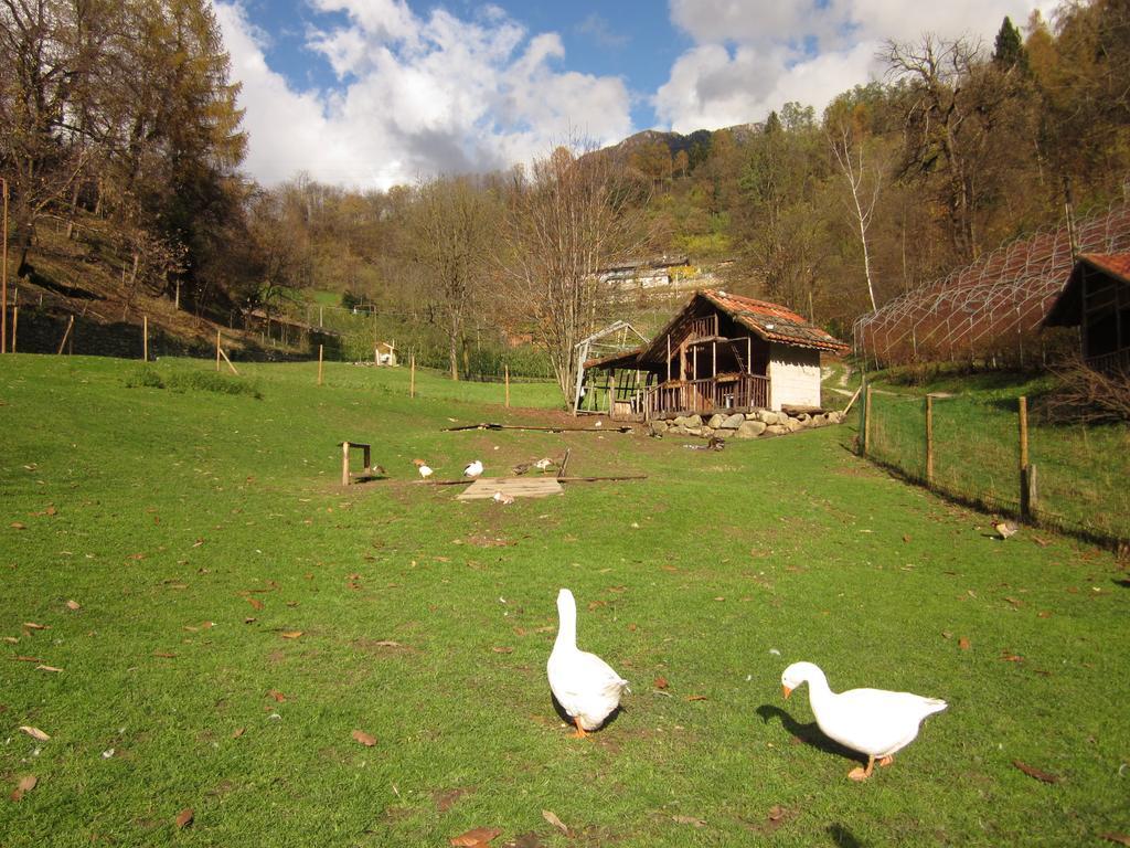 B&B Al Larice Strigno Exterior photo